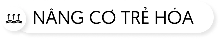 Nâng cơ trẻ hóa